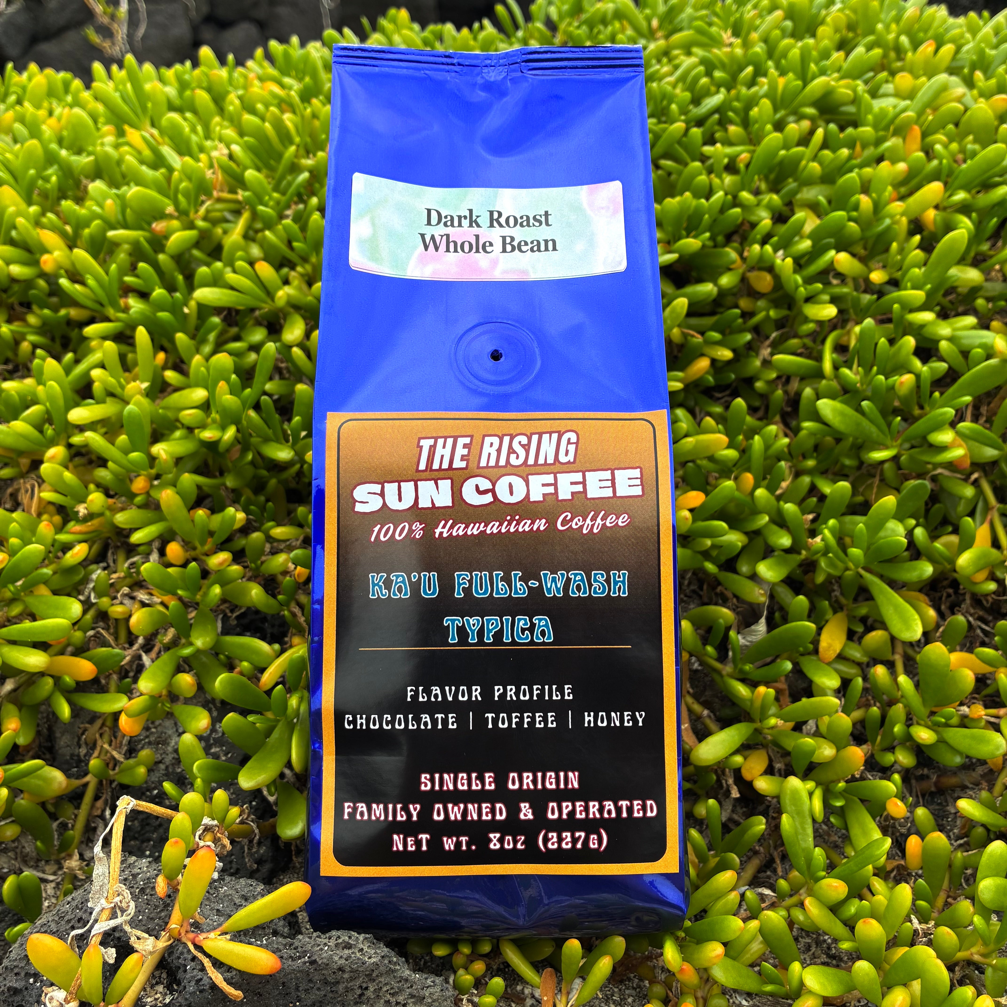 The Rising Sun Coffee Kau Full Wash Typica | Dark Roast